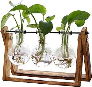 XXXFLOWER Plant Terrarium with Wooden Stand, Air Planter Bulb Glass Vase Metal Swivel Holder Retro Tabletop for Hydroponics Home Garden Office Decoration - 3 Bulb Vase